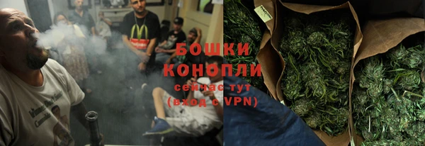 PSILOCYBIN Белокуриха