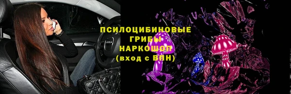 PSILOCYBIN Белокуриха