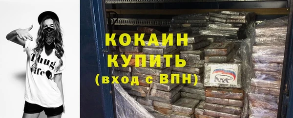 PSILOCYBIN Белокуриха
