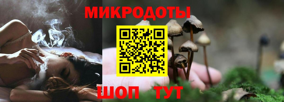 Рязань  Псилоцибиновые грибы ЛСД  Псилоцибиновые грибы Psilocybe  Вход с VPN 